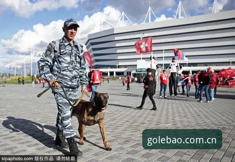 世界杯安保仅派3名英国警员，乐宝体育快速访问如何解读赛事安全新格局？